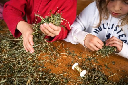 🌟 Familienglück am Bauernhof - Natur, Tiere, Abenteuer 🌟