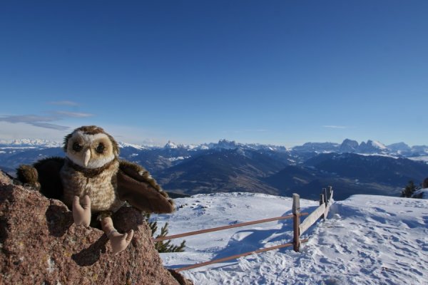 Aussicht vom Rittner Horn