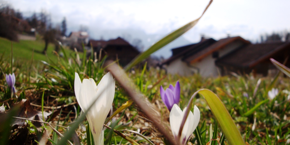 Frühlingserwachen in Südtirol
