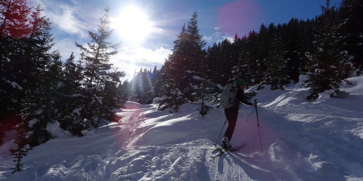 Skitour im Winter