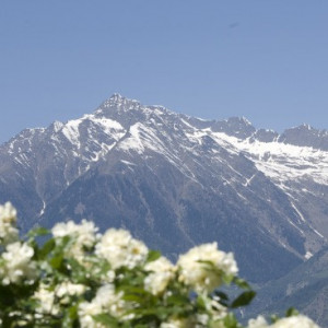 Blick von Trauttmansdorff auf Berge