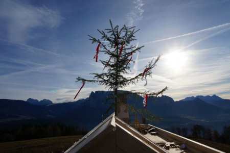 L´albero del colmo del tetto