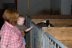 Ein Besuch im Kuhstall ist für Gr0ß und Klein ein Highlight.