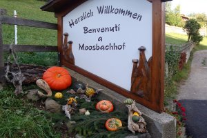 Herzlich Willkommen!