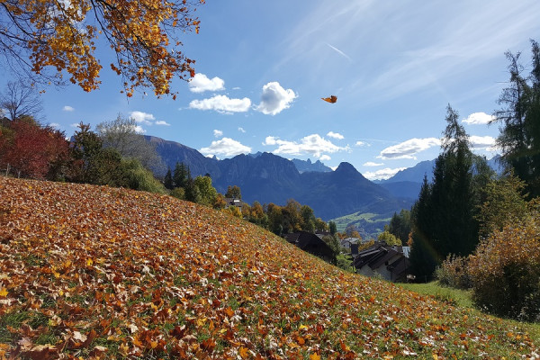 Genießen Sie den klaren Blick auf Südtirols Bergwelt.