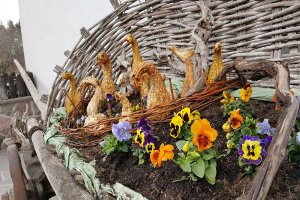 Frühling auf dem Bauernhof