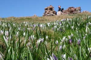 Urlaub in Südtirol im Frühling