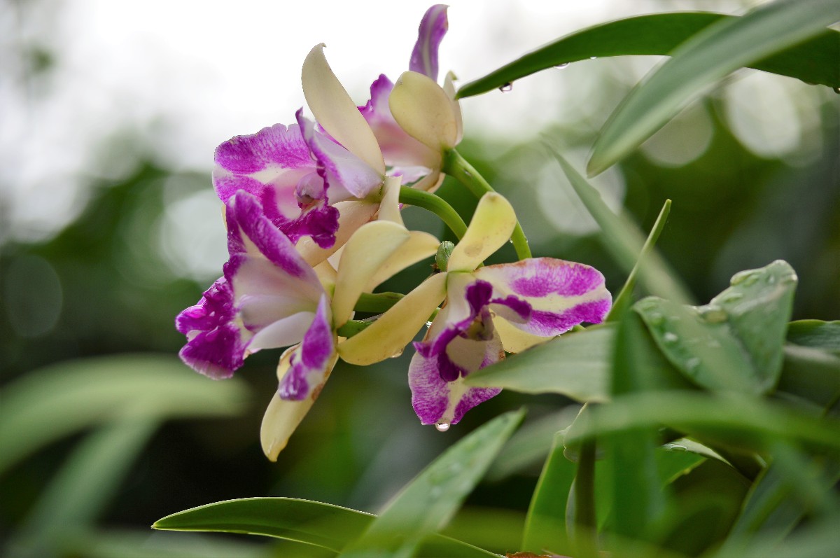 Abwechslungsreicher Urlaub garantiert.