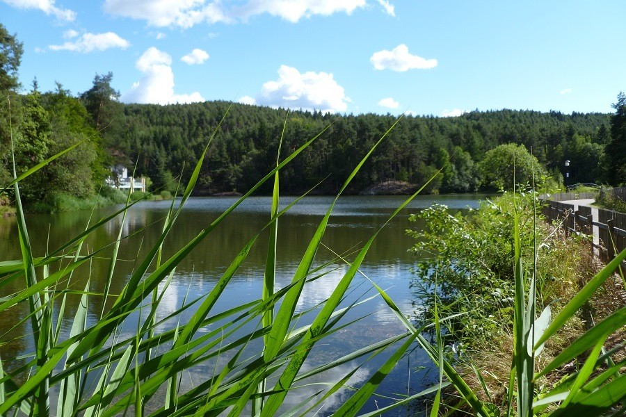 Bademöglichkeit am Wolfsgrubnersee. 