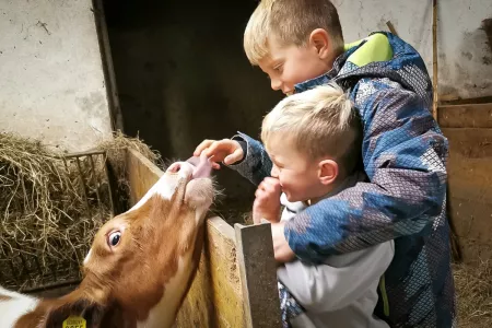Sai quanta latte beve un vitellino ogni giorno? No? Allora niente come una vacanza in fattoria in Alto Adige! Noi, David e Hannes, ti mostreremo volentieri i nostri animali e ti racconteremo tante curiosità sulla vita in fattoria.