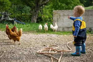 Natura, animali e fattoria – vivere il mondo giocando