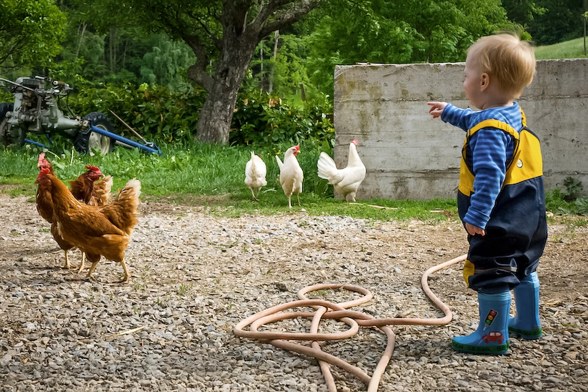 Natura, animali e fattoria – vivere il mondo giocando